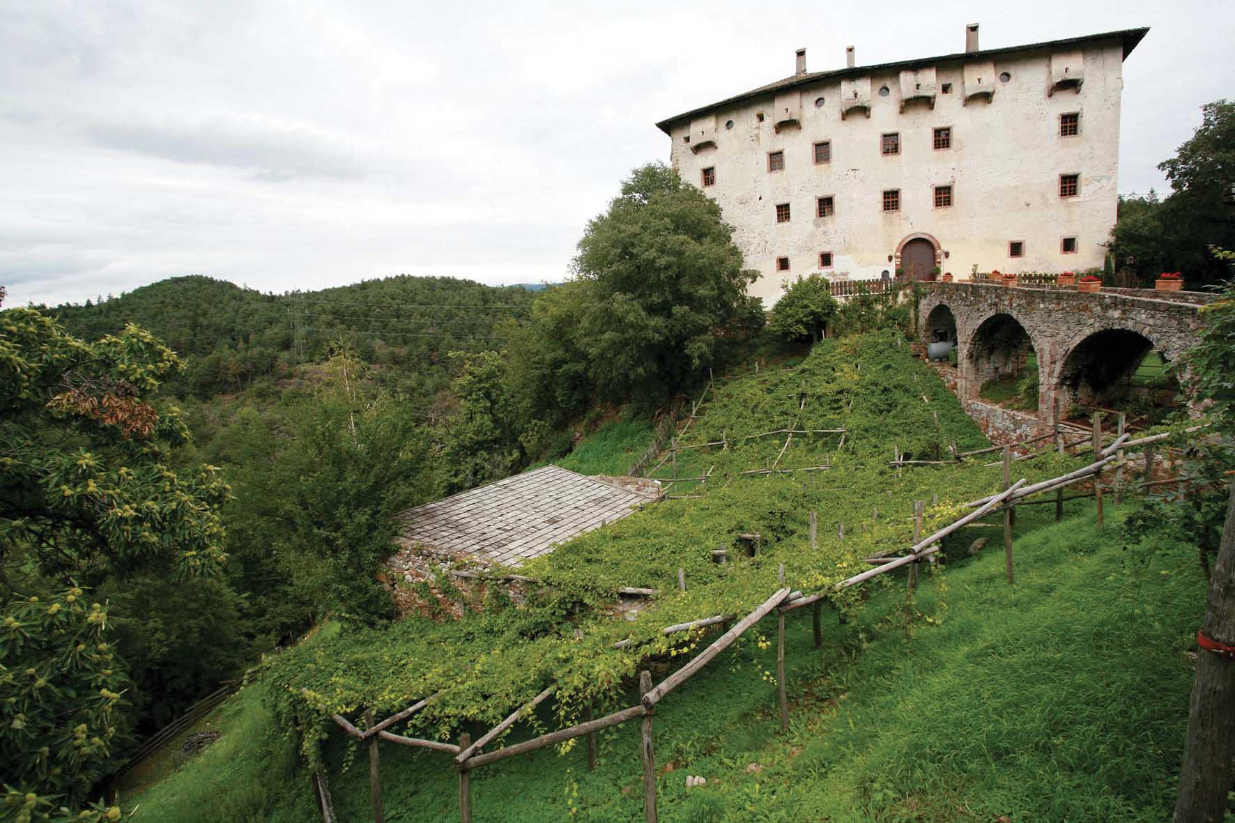 Castel Katzenzungen prissiano e vite Versoaln 1