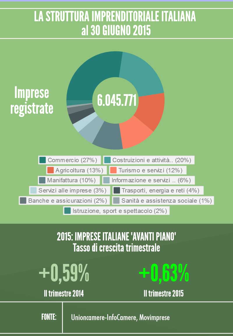 movi II 2015 infografica 2