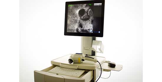 microscopio confocale vivascope 3000 1
