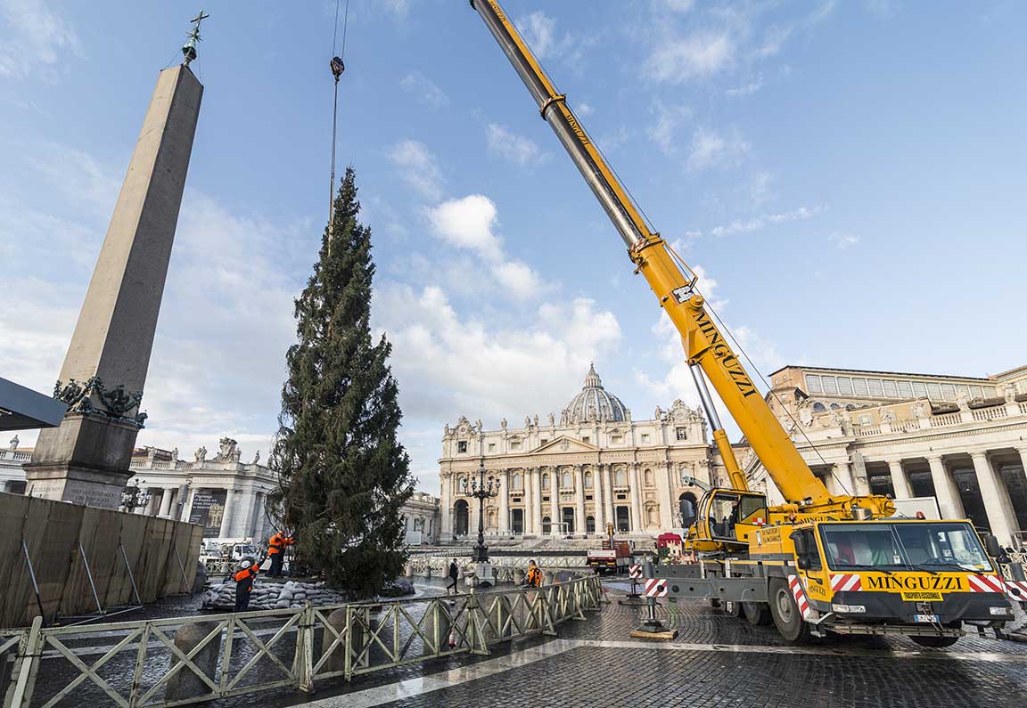 albero di Natale del Vaticano