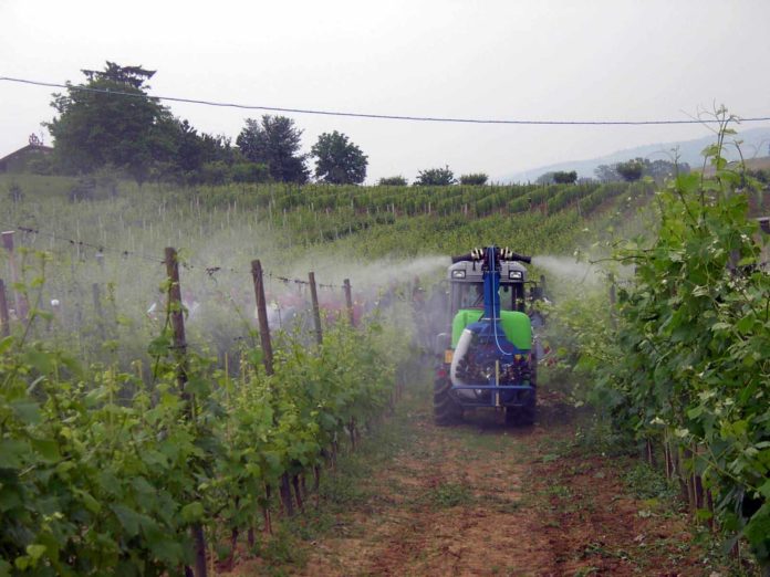 fitofarmaci in agricoltura Contaminazione da pesticidi