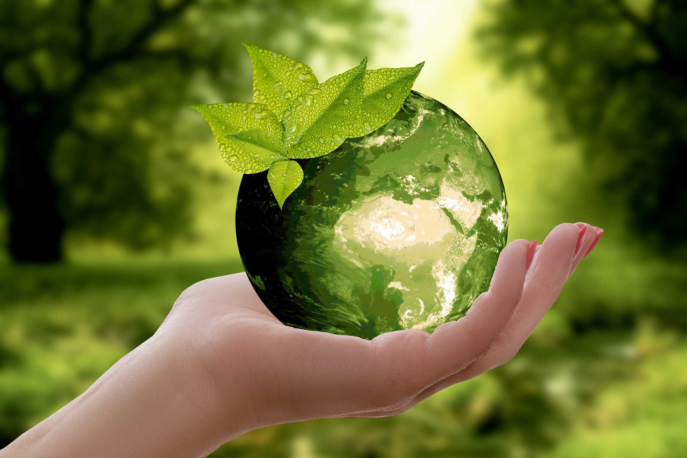 Ecosostenibilità Ecologia Risparmio energetico soluzioni Tutorial eco sostenibili smetti di sprecare ecco i modi di usare il web che aiutano l’ambiente Bioedilizia Alto risparmio energetico