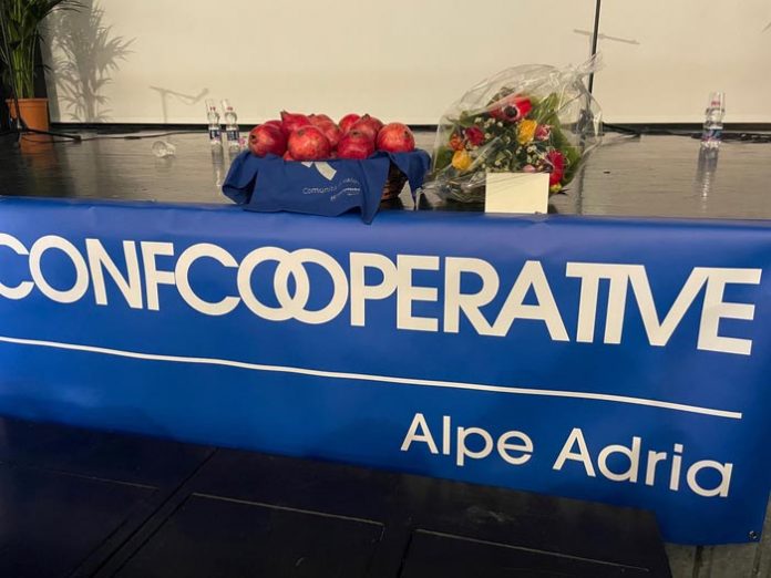 Confcooperative Alpe Adria