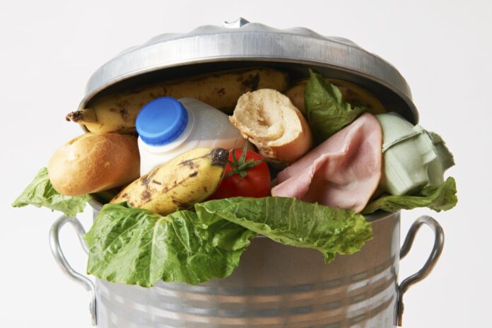 World Food Waste Report