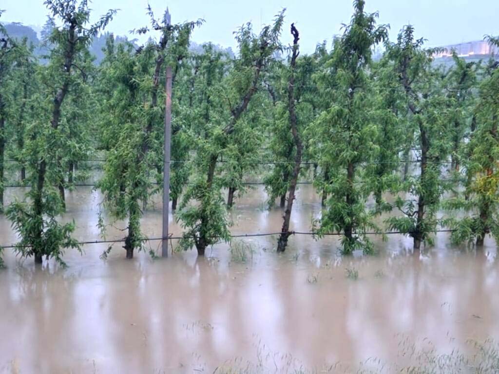 Alluvione in Emilia Romagna