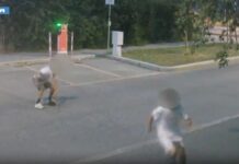 Cremona, arrestati due giovani di 21 e 23 anni per tentato omicidio / Video